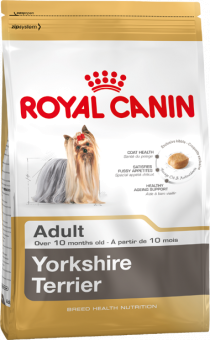 Yorkshire Terrier 1,5kg
